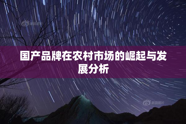 国产品牌在农村市场的崛起与发展分析