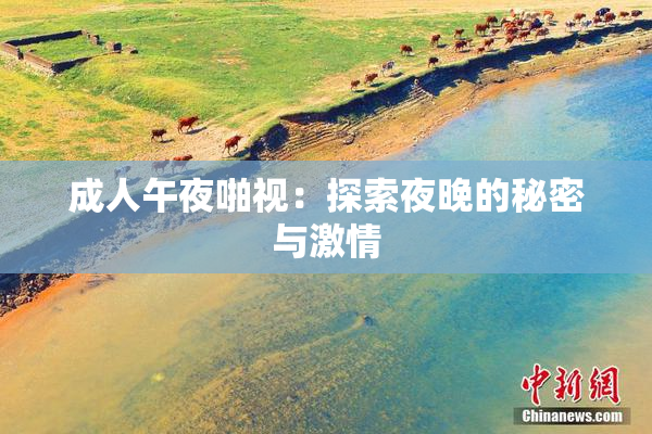 成人午夜啪视：探索夜晚的秘密与激情
