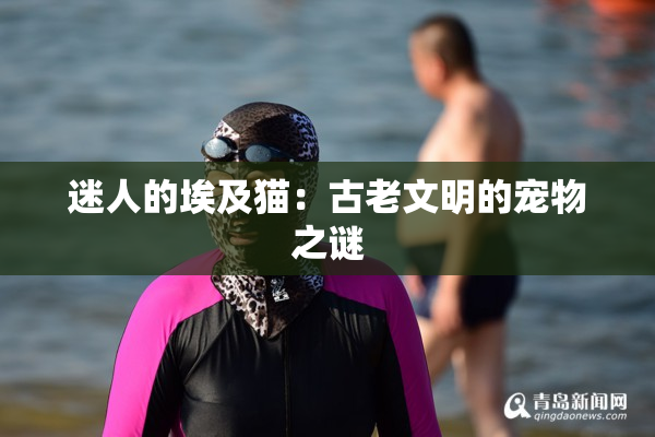迷人的埃及猫：古老文明的宠物之谜