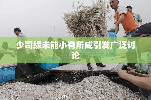 少司缘未能小有所成引发广泛讨论