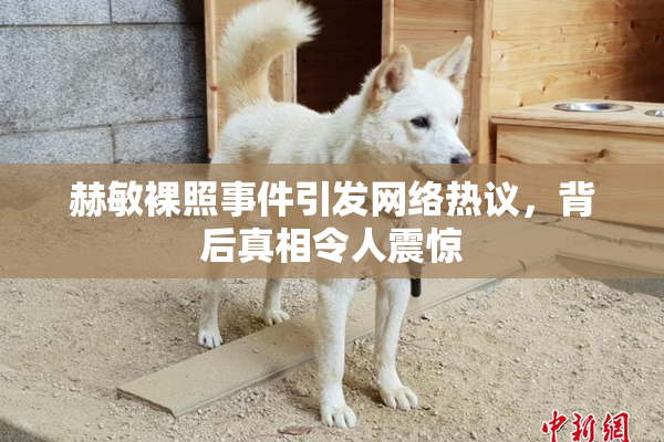 赫敏裸照事件引发网络热议，背后真相令人震惊
