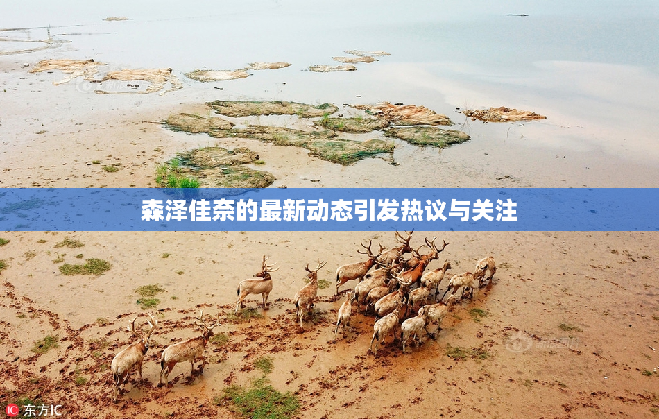 森泽佳奈的最新动态引发热议与关注