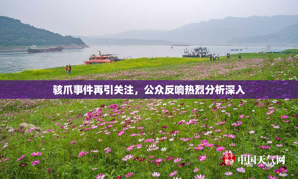 骇爪事件再引关注，公众反响热烈分析深入