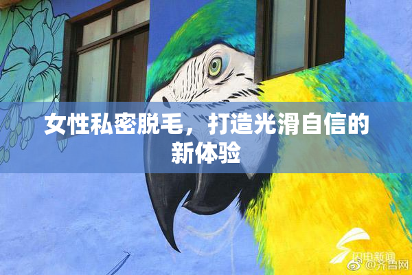 女性私密脱毛，打造光滑自信的新体验