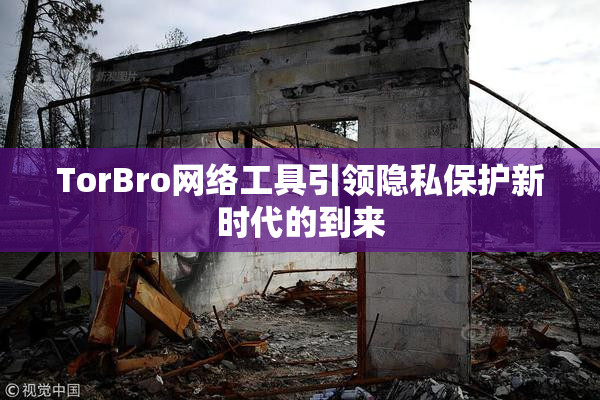 TorBro网络工具引领隐私保护新时代的到来