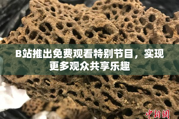 B站推出免费观看特别节目，实现更多观众共享乐趣