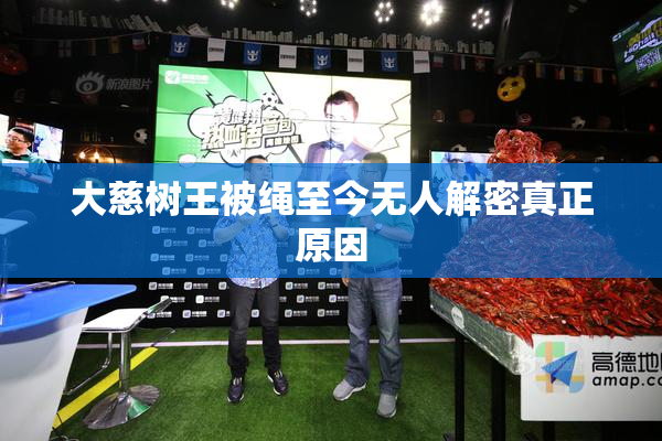 大慈树王被绳至今无人解密真正原因