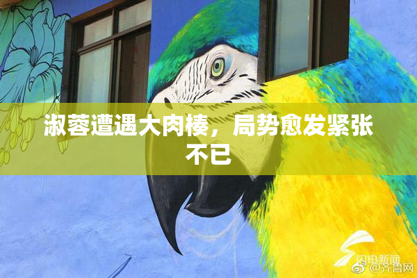 淑蓉遭遇大肉楱，局势愈发紧张不已