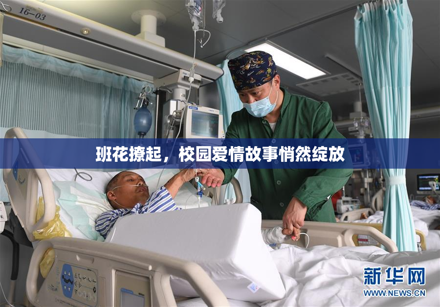 班花撩起，校园爱情故事悄然绽放