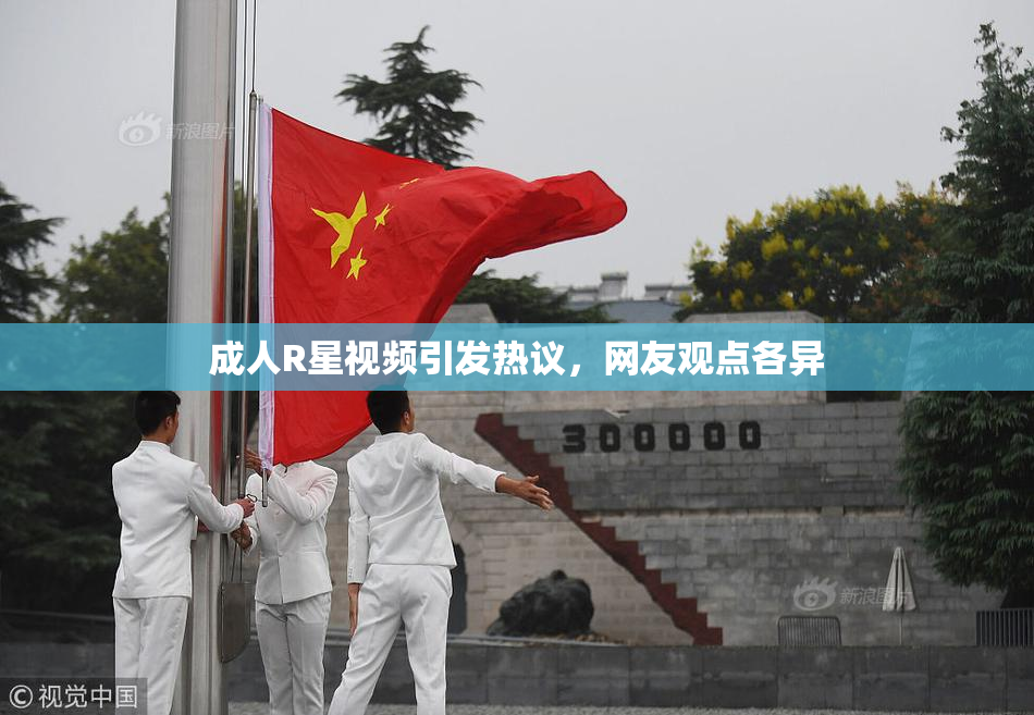 成人R星视频引发热议，网友观点各异
