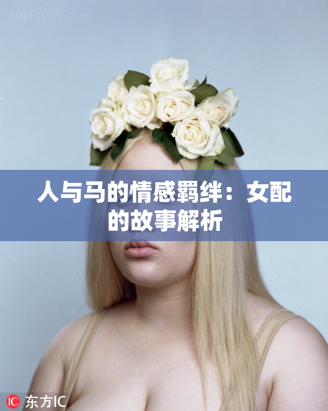 人与马的情感羁绊：女配的故事解析