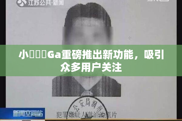 小藍視頻Ga重磅推出新功能，吸引众多用户关注