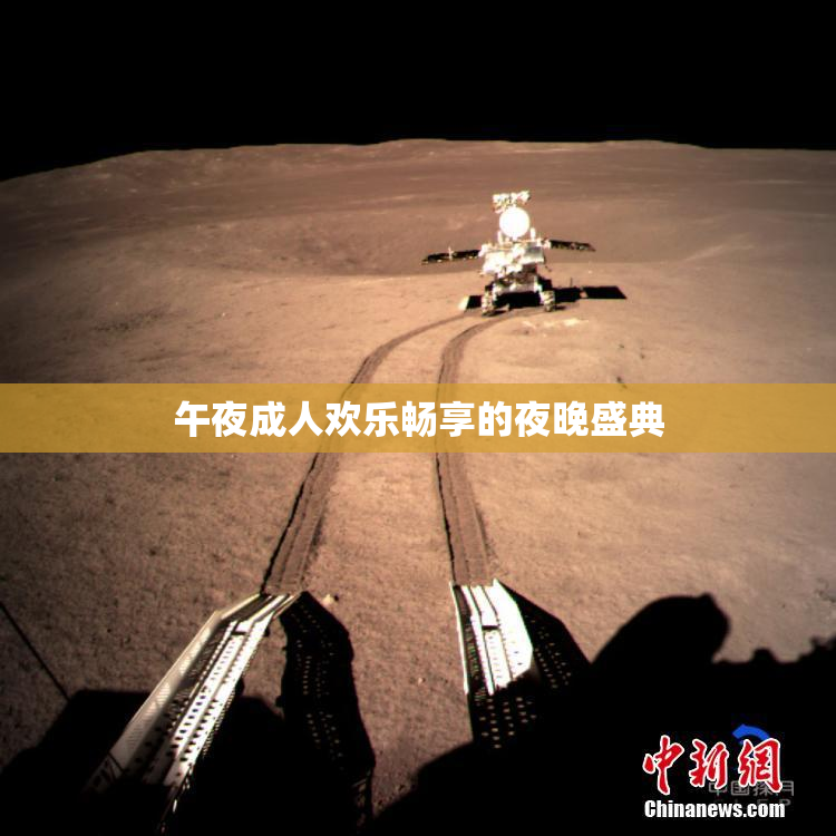 午夜成人欢乐畅享的夜晚盛典