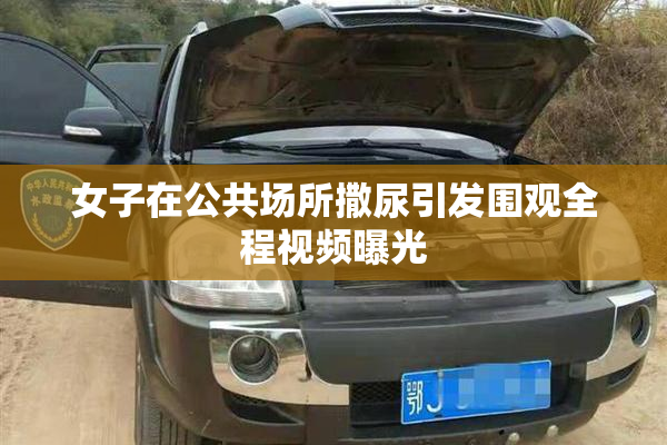 女子在公共场所撒尿引发围观全程视频曝光