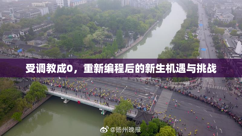 受调教成0，重新编程后的新生机遇与挑战