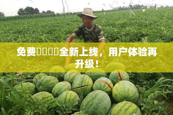 免费❌‌❌‌全新上线，用户体验再升级！