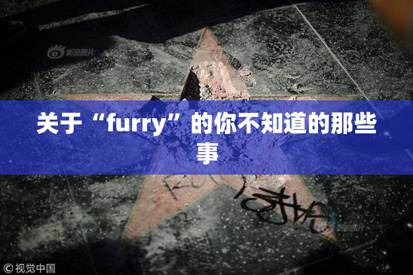关于“furry”的你不知道的那些事