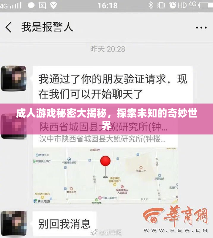 成人游戏秘密大揭秘，探索未知的奇妙世界