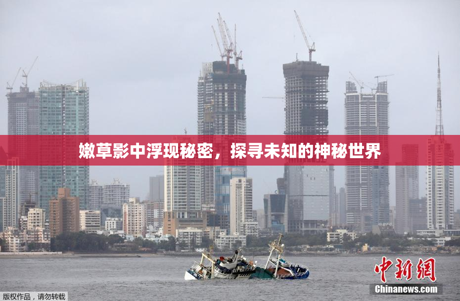 嫩草影中浮现秘密，探寻未知的神秘世界