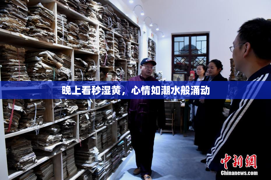 晚上看秒湿黄，心情如潮水般涌动