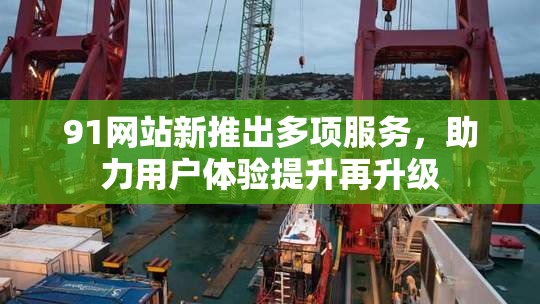 91网站新推出多项服务，助力用户体验提升再升级