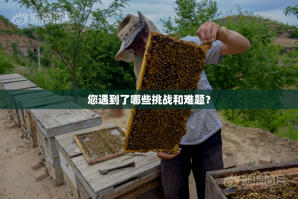您遇到了哪些挑战和难题？