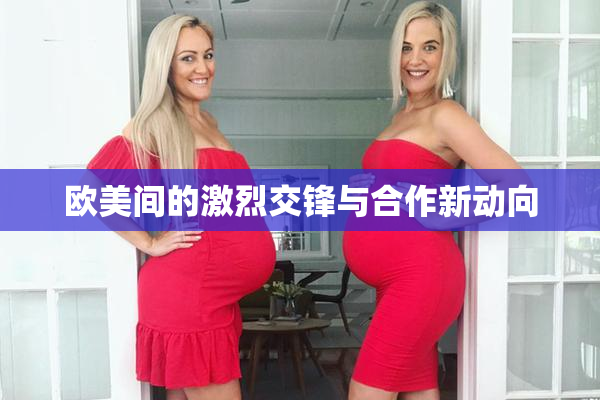 欧美间的激烈交锋与合作新动向