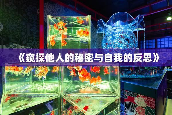 《窥探他人的秘密与自我的反思》