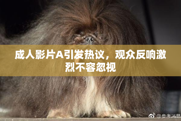 成人影片A引发热议，观众反响激烈不容忽视