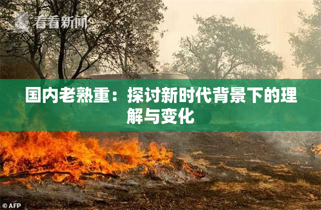 国内老熟重：探讨新时代背景下的理解与变化