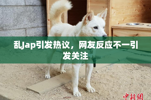 乱Jap引发热议，网友反应不一引发关注