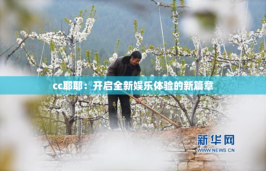 cc耶耶：开启全新娱乐体验的新篇章