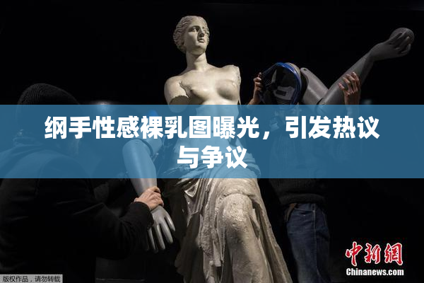 纲手性感裸乳图曝光，引发热议与争议