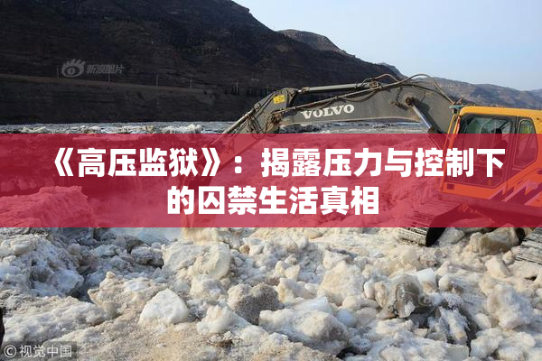 《高压监狱》：揭露压力与控制下的囚禁生活真相