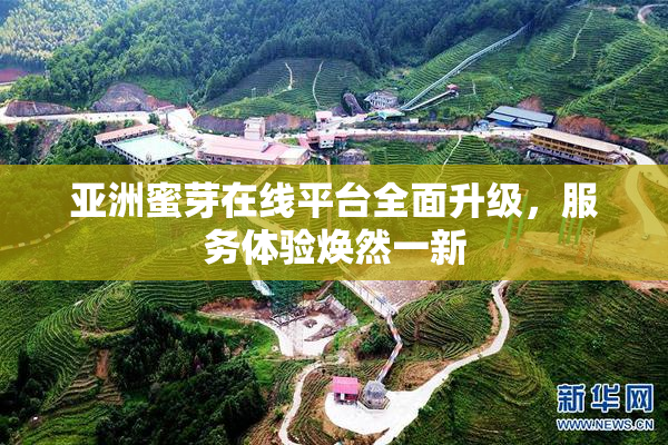 亚洲蜜芽在线平台全面升级，服务体验焕然一新