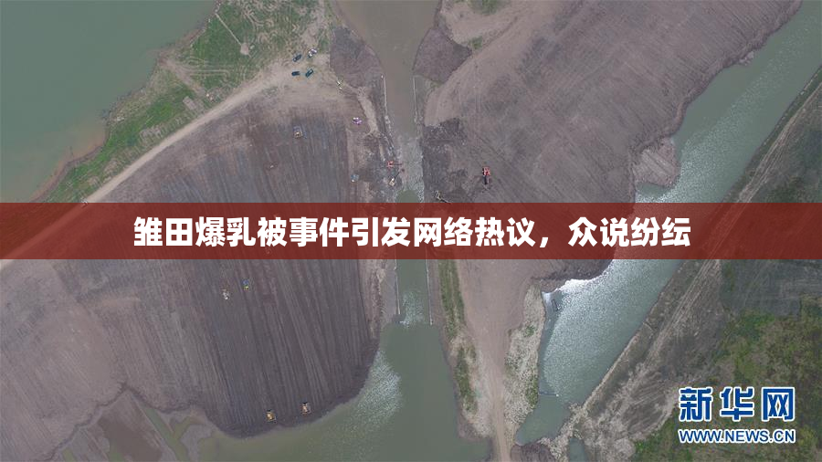 雏田爆乳被事件引发网络热议，众说纷纭