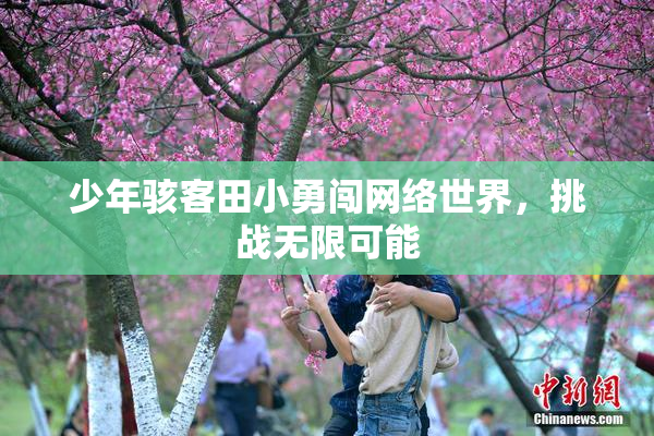 少年骇客田小勇闯网络世界，挑战无限可能