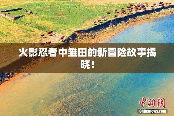 火影忍者中雏田的新冒险故事揭晓！