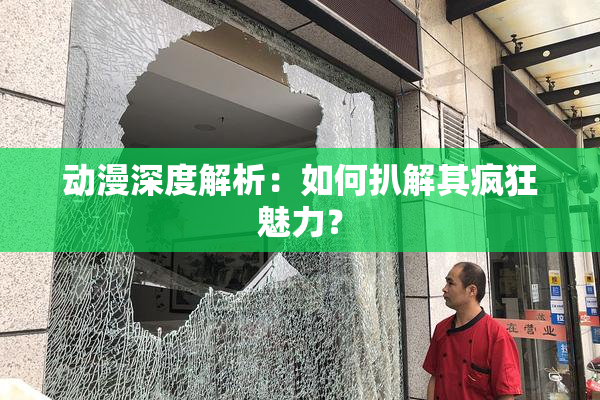 动漫深度解析：如何扒解其疯狂魅力？