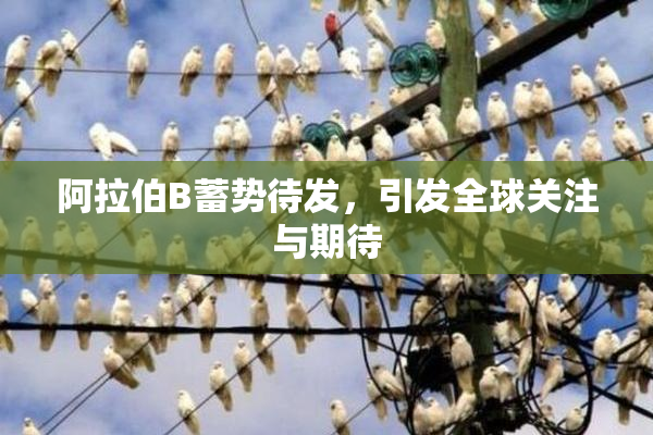 阿拉伯B蓄势待发，引发全球关注与期待