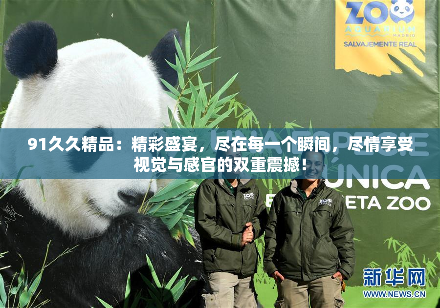 91久久精品：精彩盛宴，尽在每一个瞬间，尽情享受视觉与感官的双重震撼！