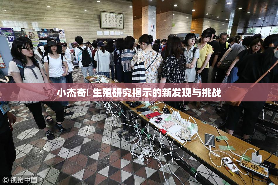 小杰奇犽生殖研究揭示的新发现与挑战