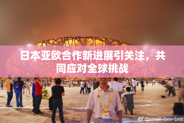 日本亚欧合作新进展引关注，共同应对全球挑战