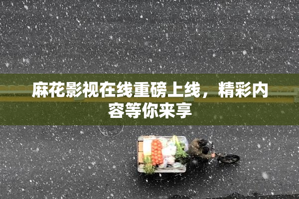 麻花影视在线重磅上线，精彩内容等你来享