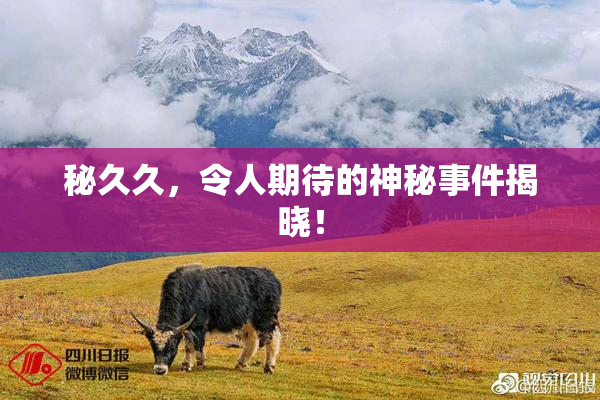 秘久久，令人期待的神秘事件揭晓！