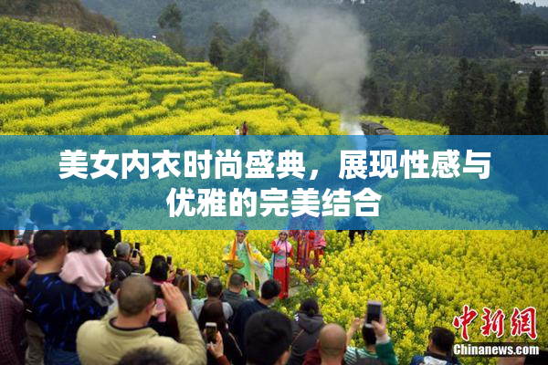 美女内衣时尚盛典，展现性感与优雅的完美结合