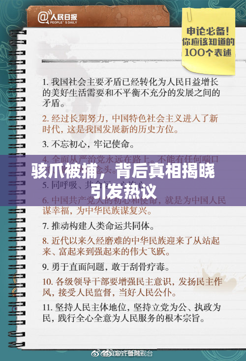 骇爪被捕，背后真相揭晓引发热议
