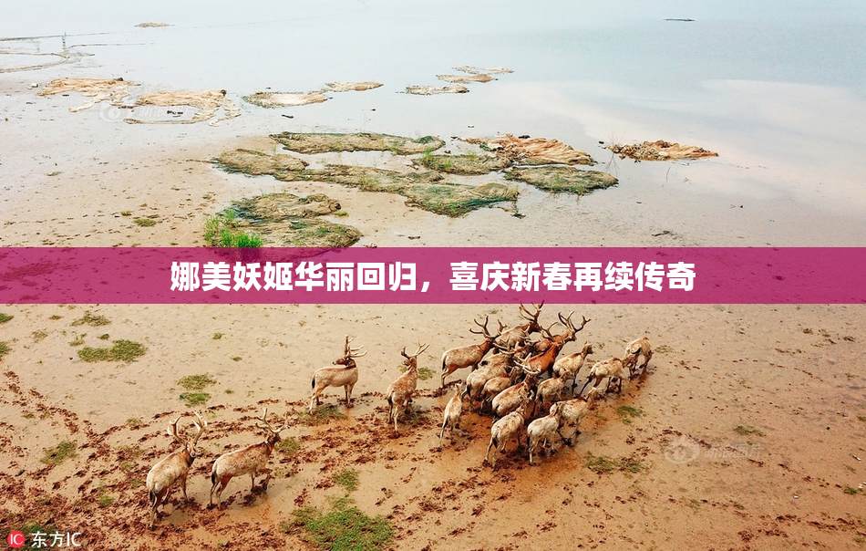 娜美妖姬华丽回归，喜庆新春再续传奇