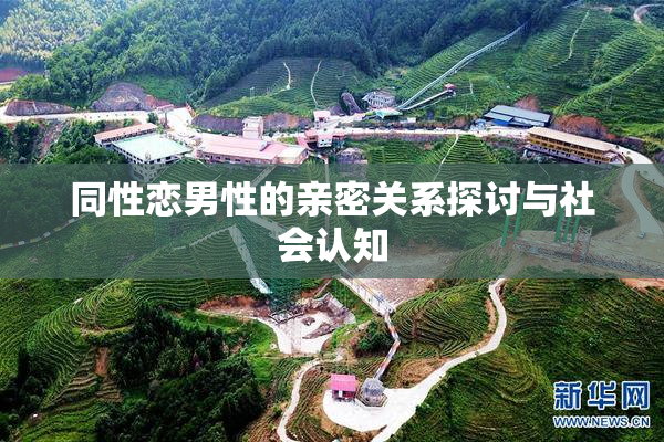 同性恋男性的亲密关系探讨与社会认知