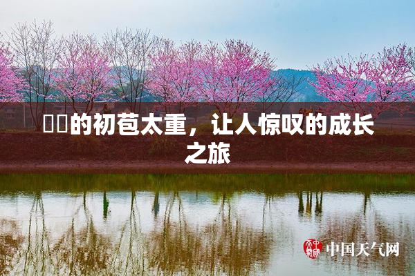 妺妺的初苞太重，让人惊叹的成长之旅